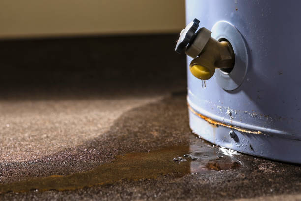 Water damage restoration mold remediation in UT