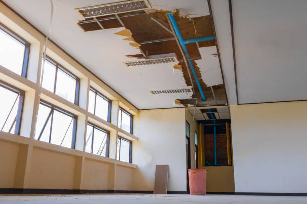  Millville, UT Water damage restoration Pros