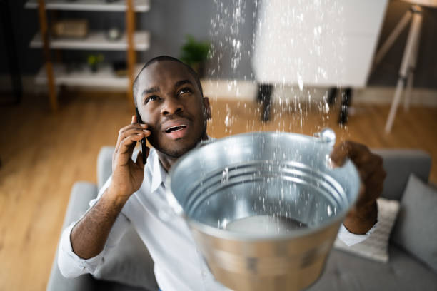 Best Carpet water damage restoration  in Millville, UT