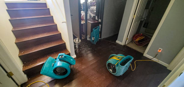Best Fire Damage Restoration  in Millville, UT
