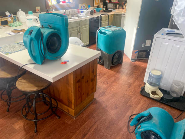 Best Water damage repair service  in Millville, UT
