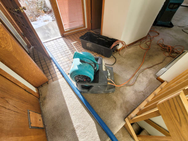 Best Commercial water damage restoration  in Millville, UT