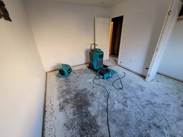 Best Water damage restoration near me  in Millville, UT