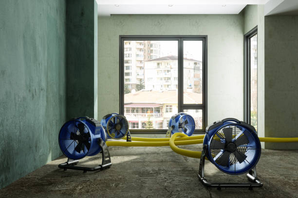 Best Professional water damage repair  in Millville, UT