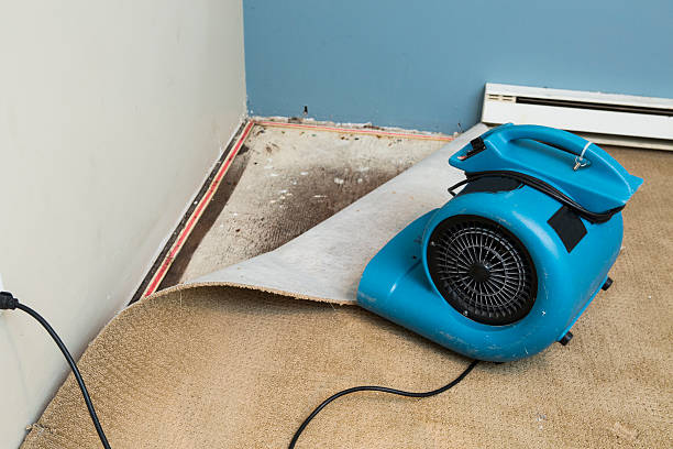 Best 24-hour water damage restoration  in Millville, UT